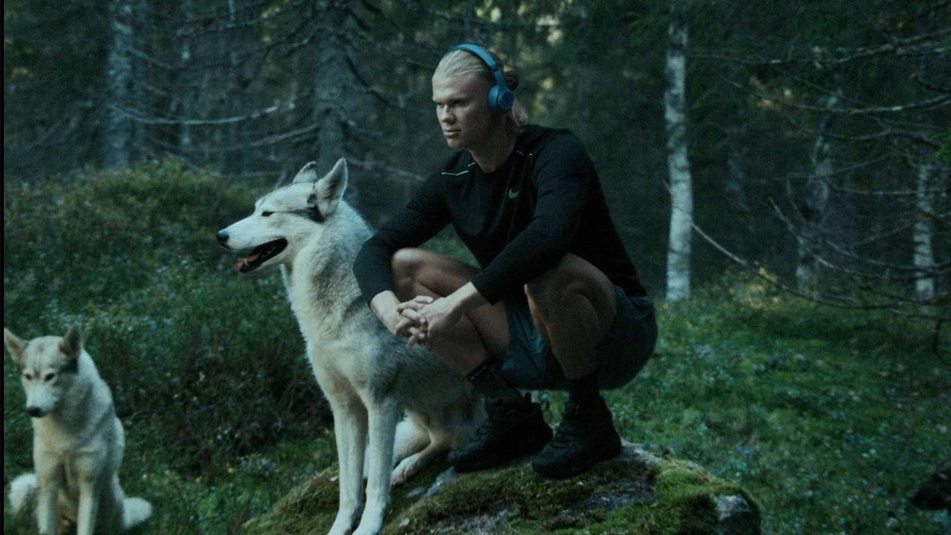 一次沉痛的 一次沉痛的